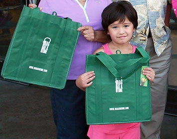 Reusable Bag